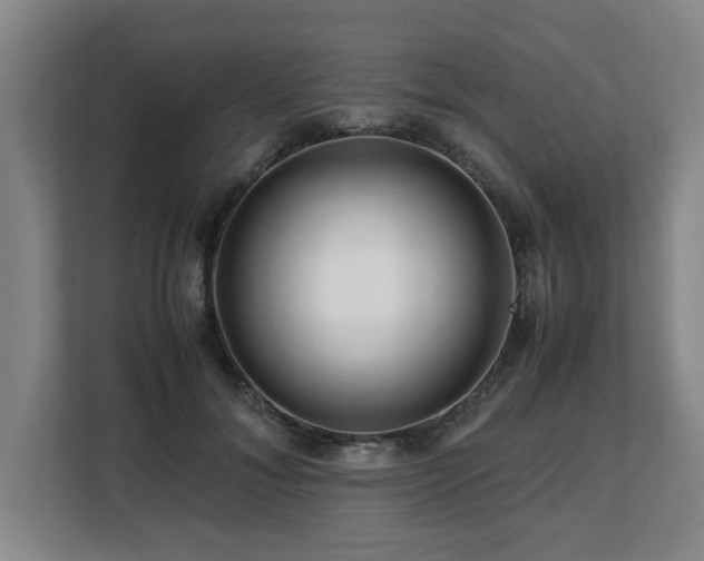 X0000108480700200904031430