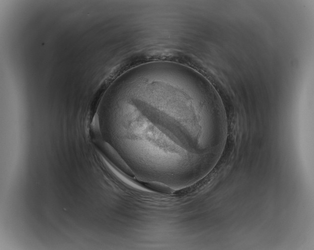 X0000108480708200904031430