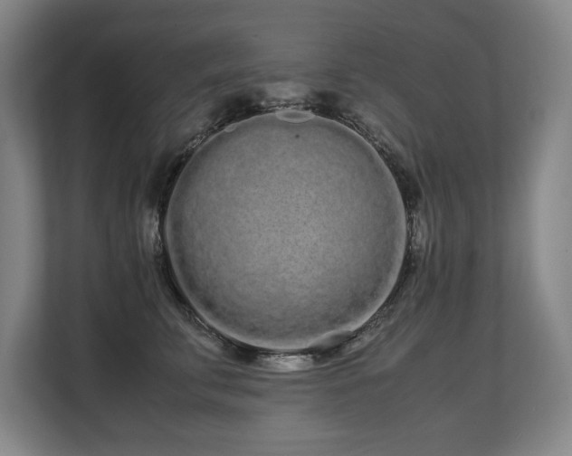 X0000108480711200904031430