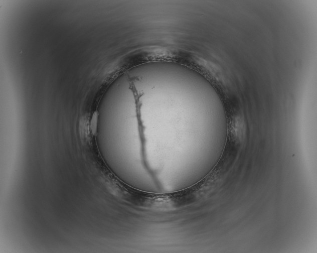X0000108480715200904031430