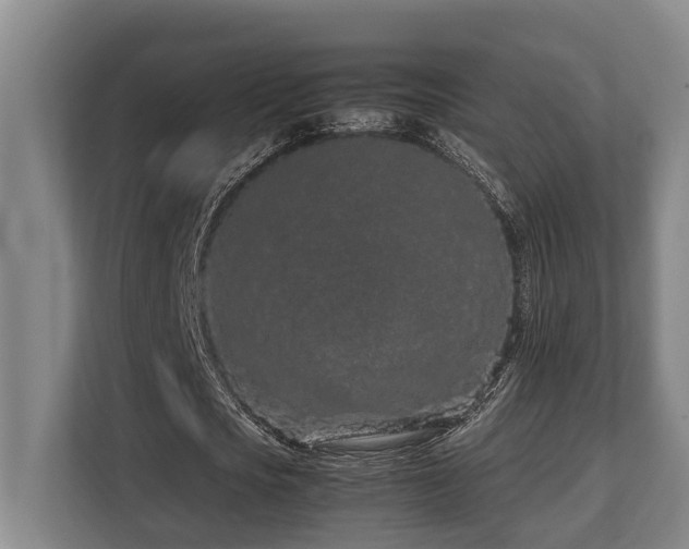 X0000108480721200904031429