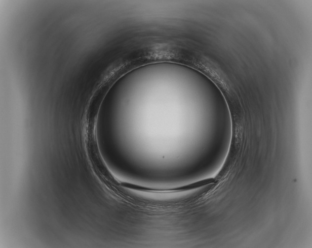 X0000108480722200904031429