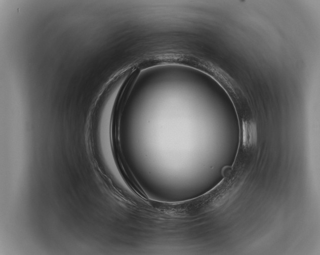 X0000108480723200904031429