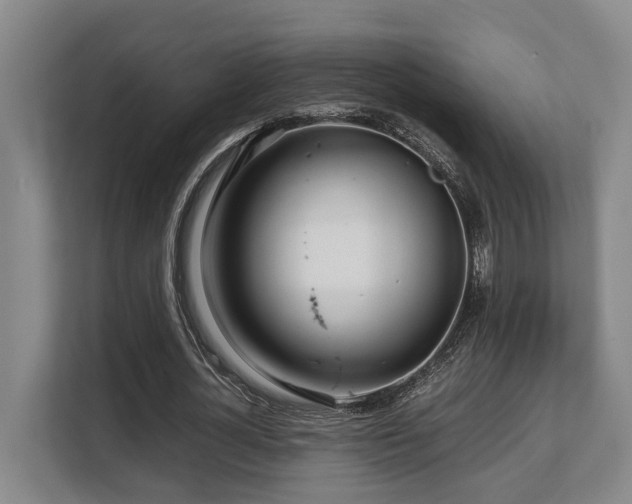 X0000108480724200904031429