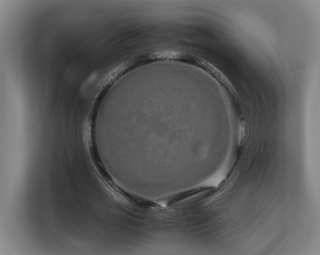 X0000108480725200904031429