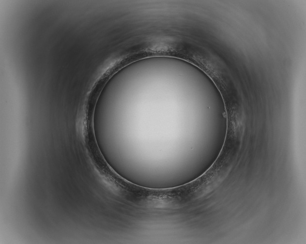 X0000108480728200904031429