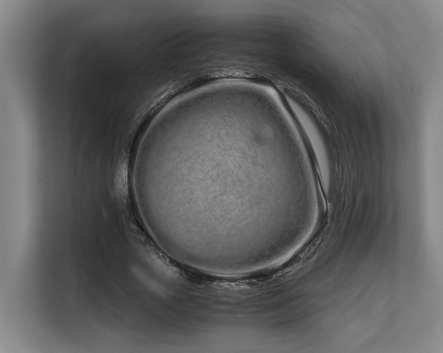 X0000108480729200904031429