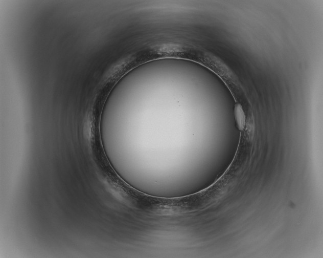 X0000108480732200904031429