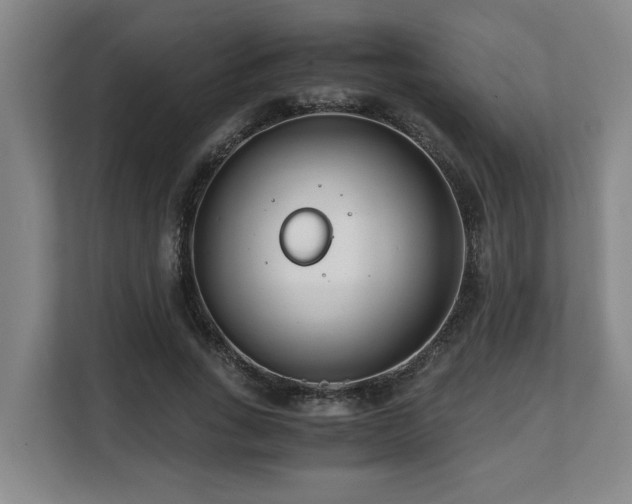 X0000108480735200904031429