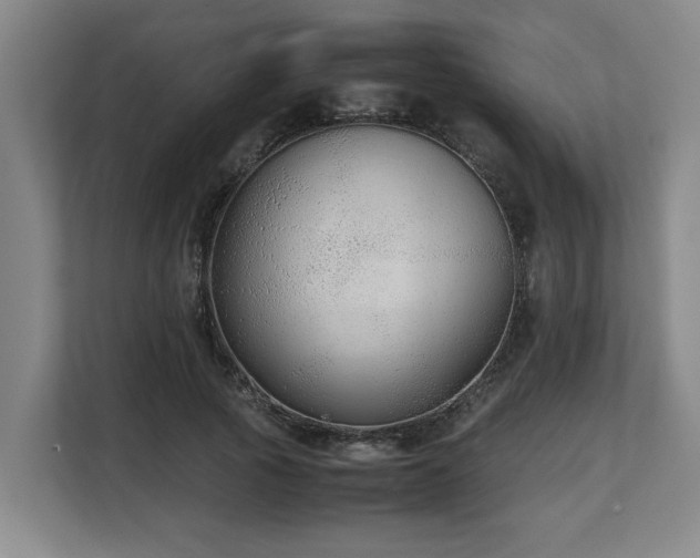 X0000108480737200904031429