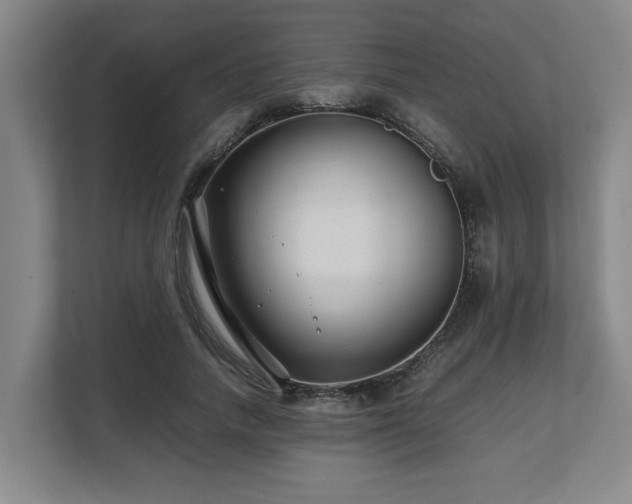 X0000108480738200904031429