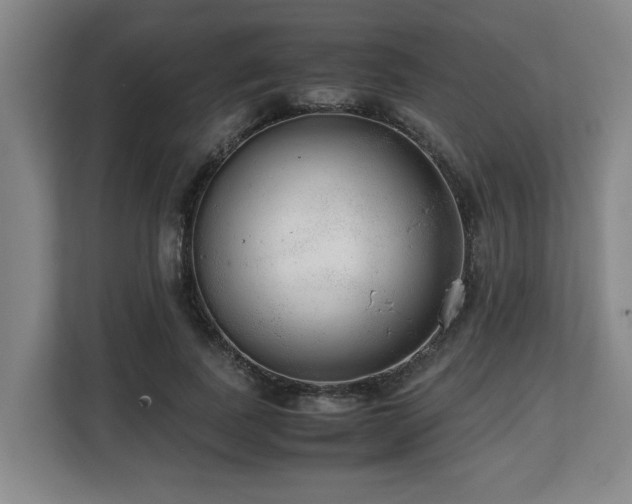X0000108480739200904031429