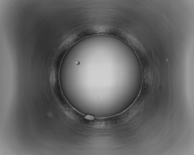 X0000108480740200904031429