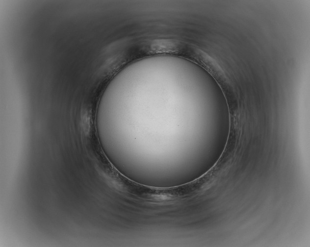 X0000108480741200904031429
