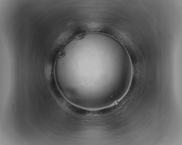 X0000108480742200904031429