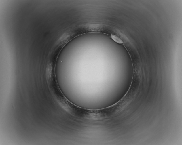 X0000108480744200904031429