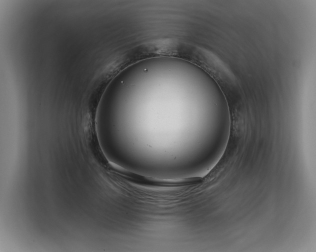 X0000108480748200904031429