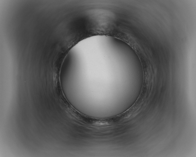 X0000108480749200904031429