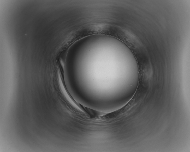 X0000108480750200904031429