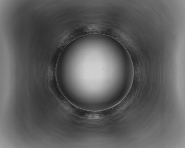 X0000108480751200904031429