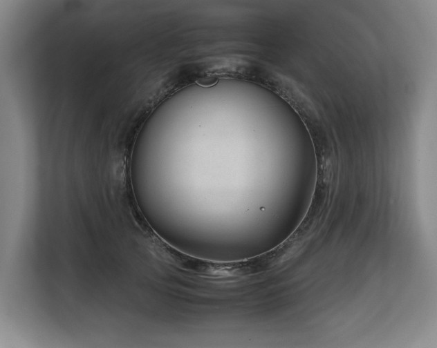X0000108480753200904031429