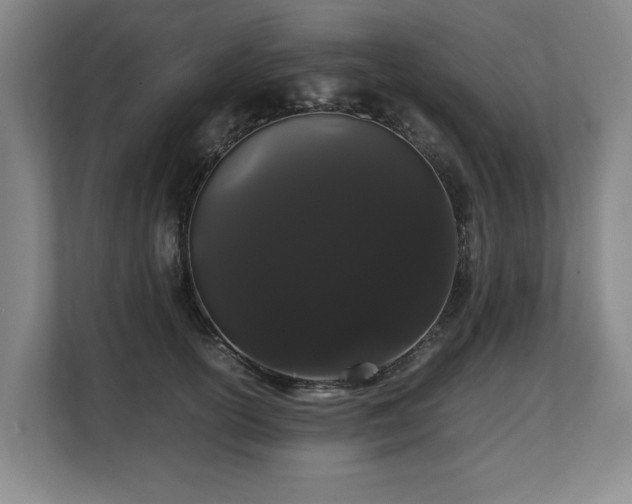 X0000108480754200904031429