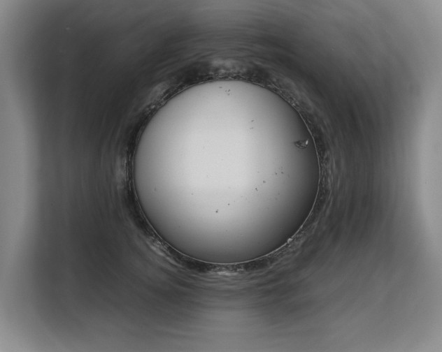 X0000108480756200904031429