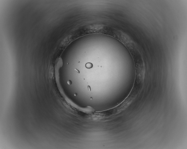X0000108480758200904031429