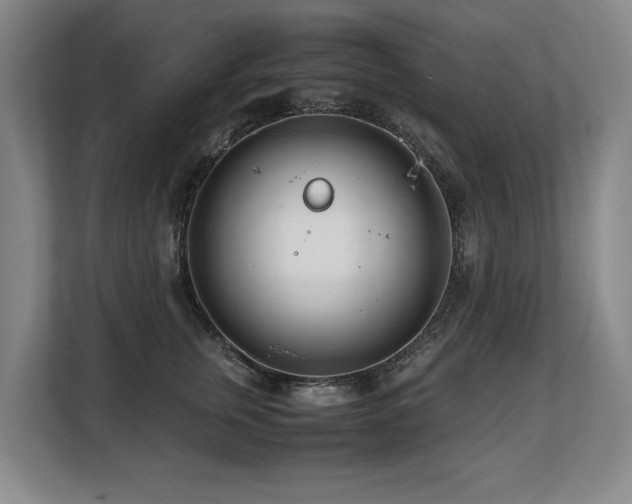 X0000108480759200904031429