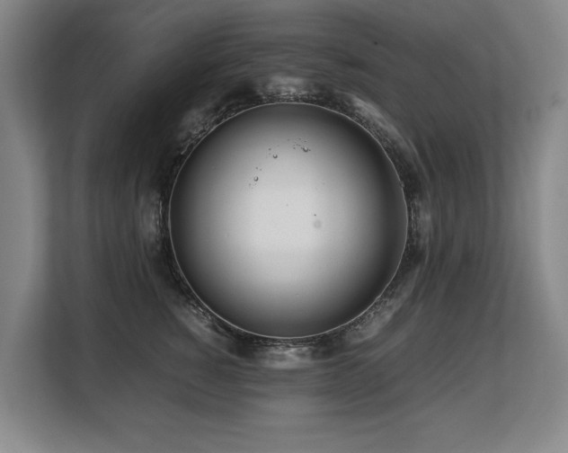 X0000108480760200904031429