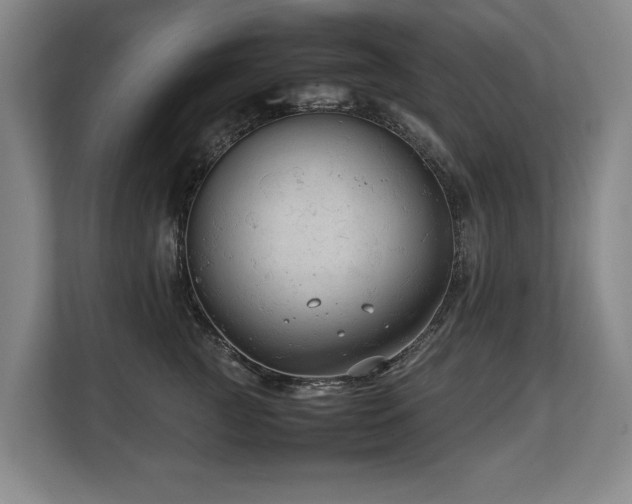 X0000108480761200904031429
