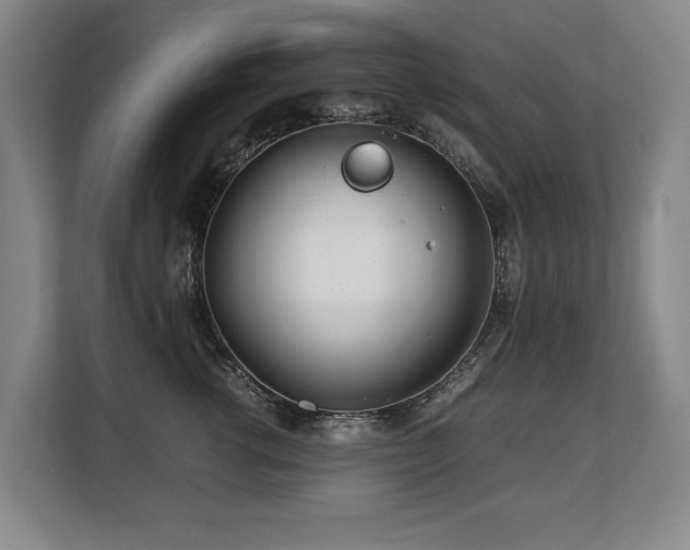 X0000108480762200904031429