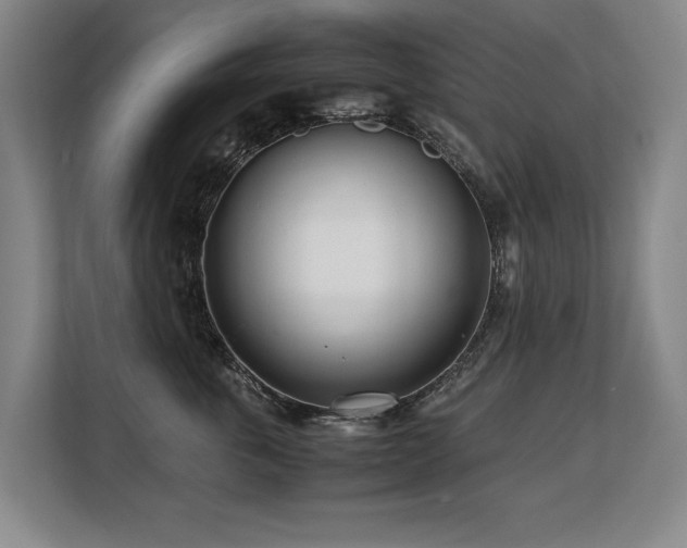 X0000108480763200904031429