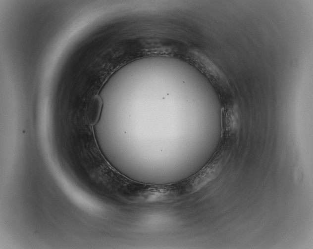 X0000108480764200904031429