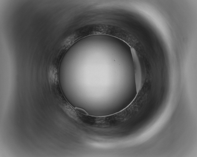 X0000108480766200904031429