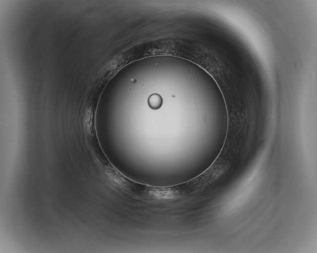 X0000108480767200904031429