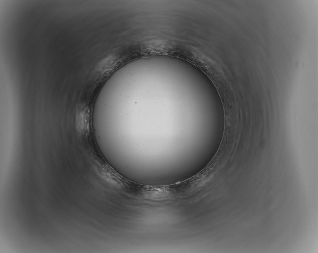 X0000108480768200904031429
