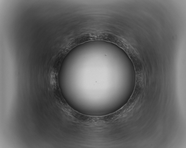 X0000108480770200904031429