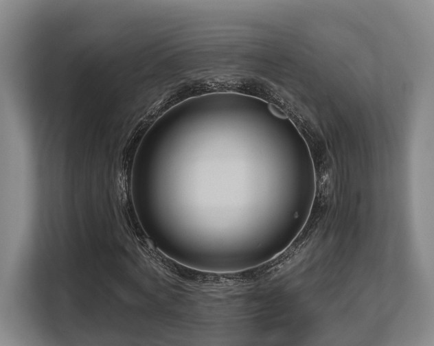 X0000108480772200904031429