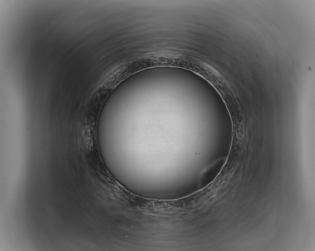 X0000108480774200904031429