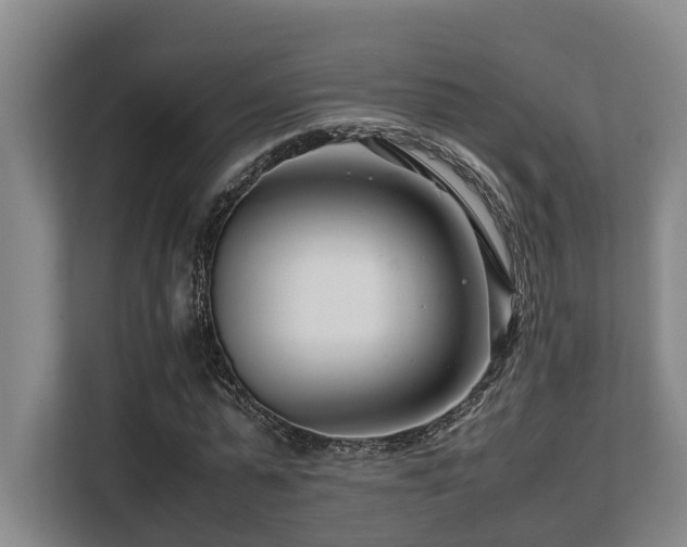 X0000108480775200904031429