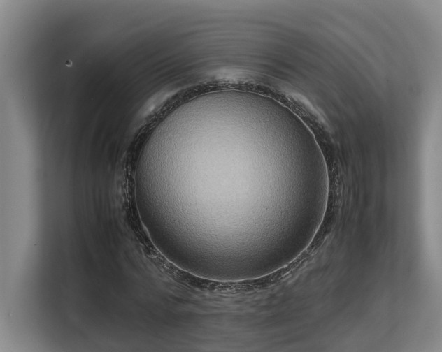 X0000108480776200904031429