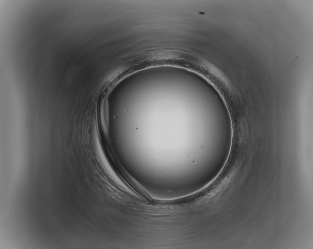 X0000108480777200904031429