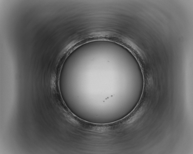 X0000108480778200904031429