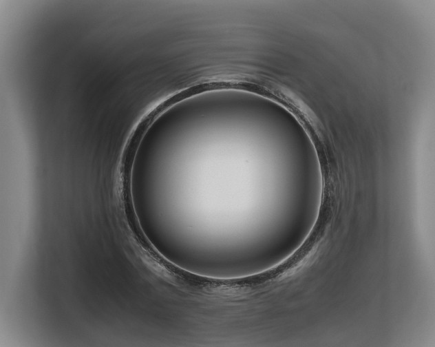 X0000108480779200904031429