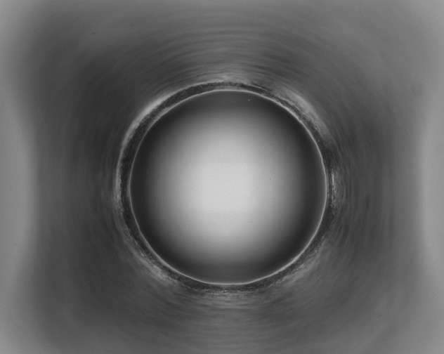 X0000108480780200904031429
