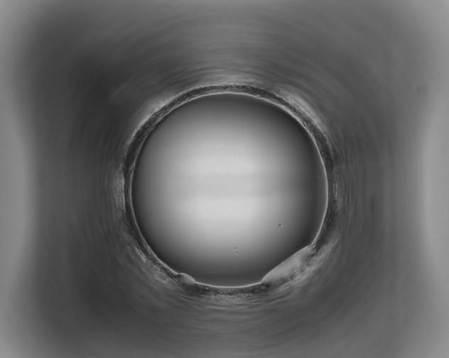 X0000108480781200904031429