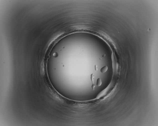 X0000108480782200904031429