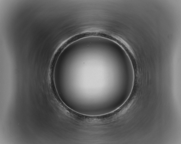 X0000108480783200904031429
