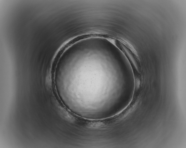 X0000108480784200904031429